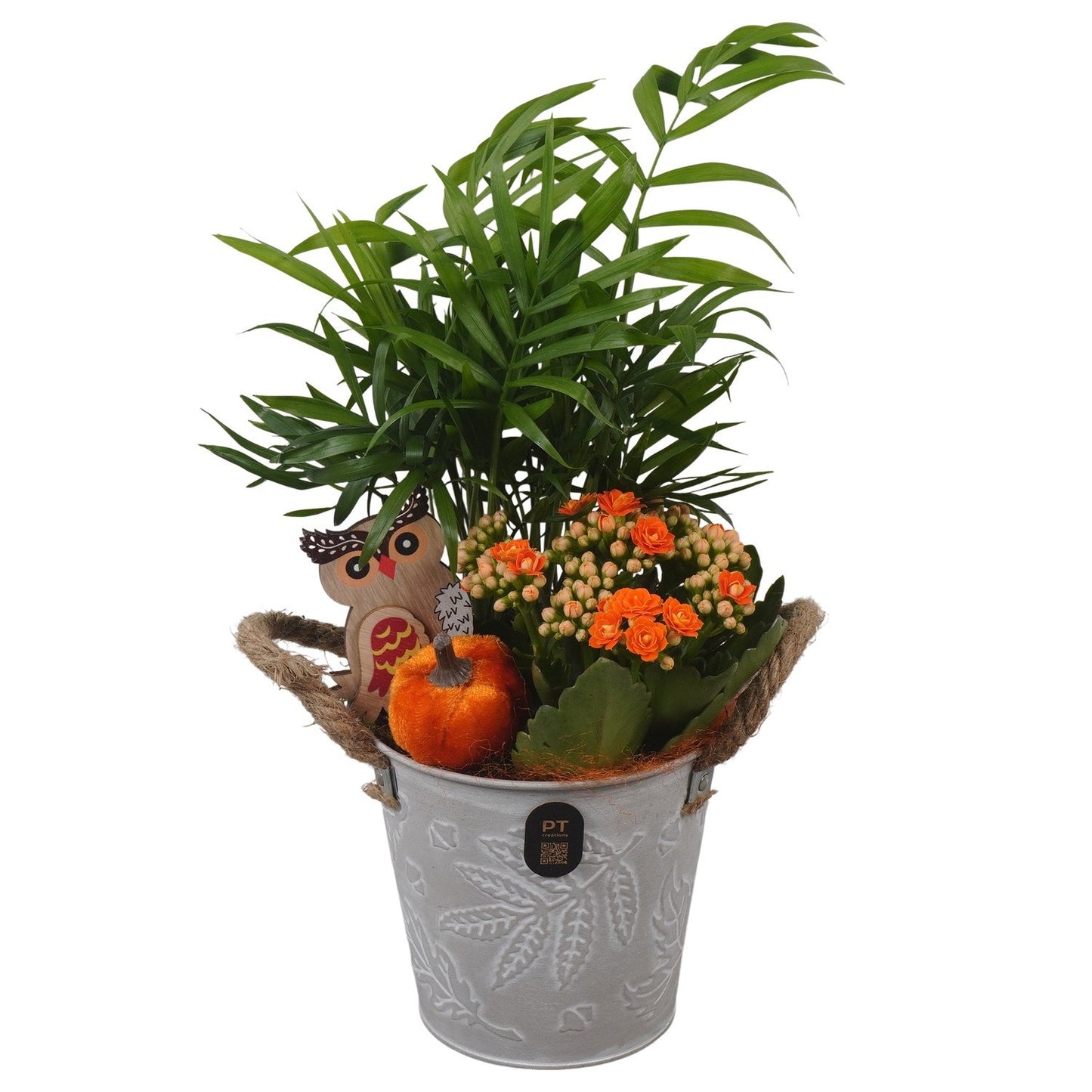 Indoor arrangement 32cm 12cm Pot