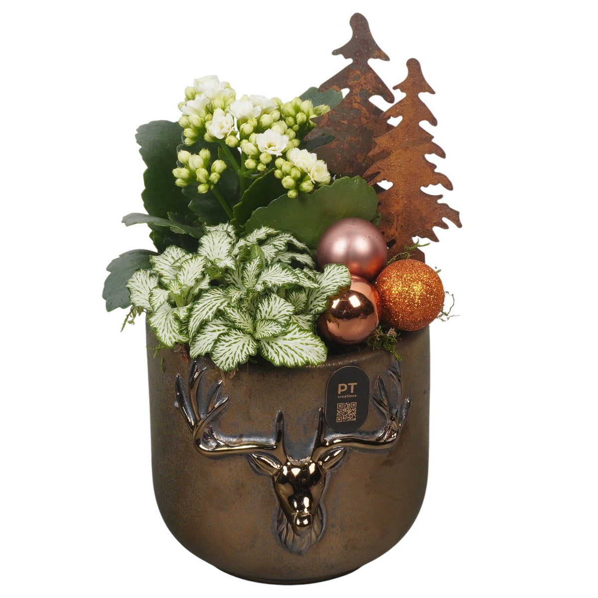 Christmas arrangement 25cm 14cm Pot