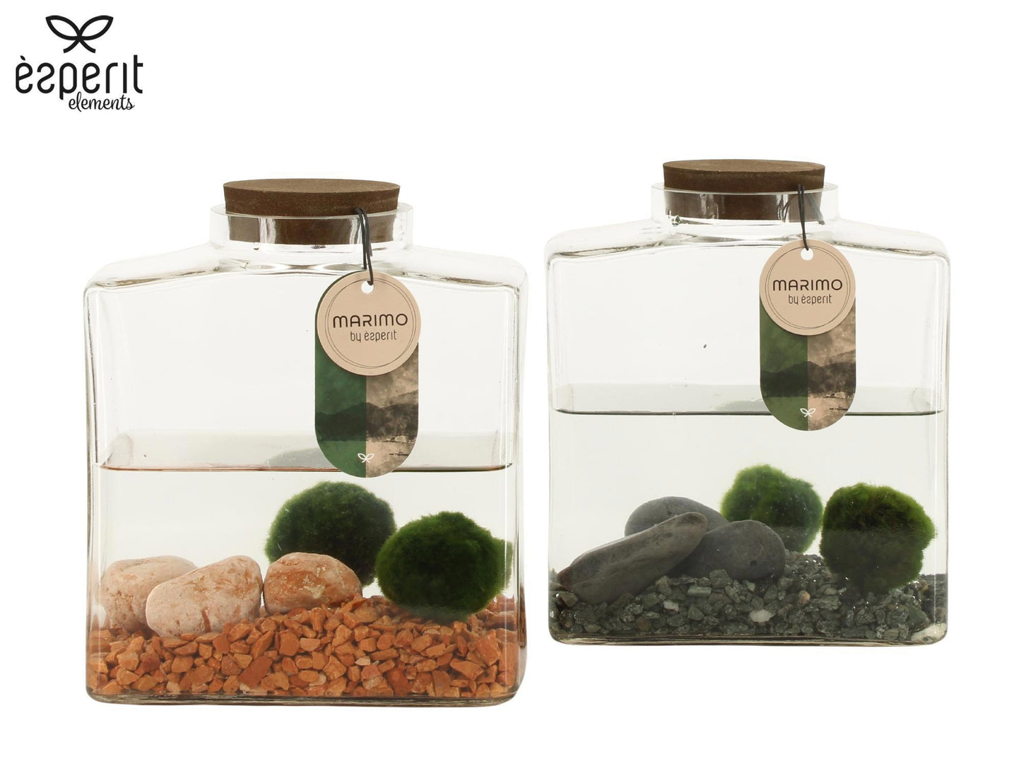 arr. Water plant Terrace pond wood 20cm 17cm Pot