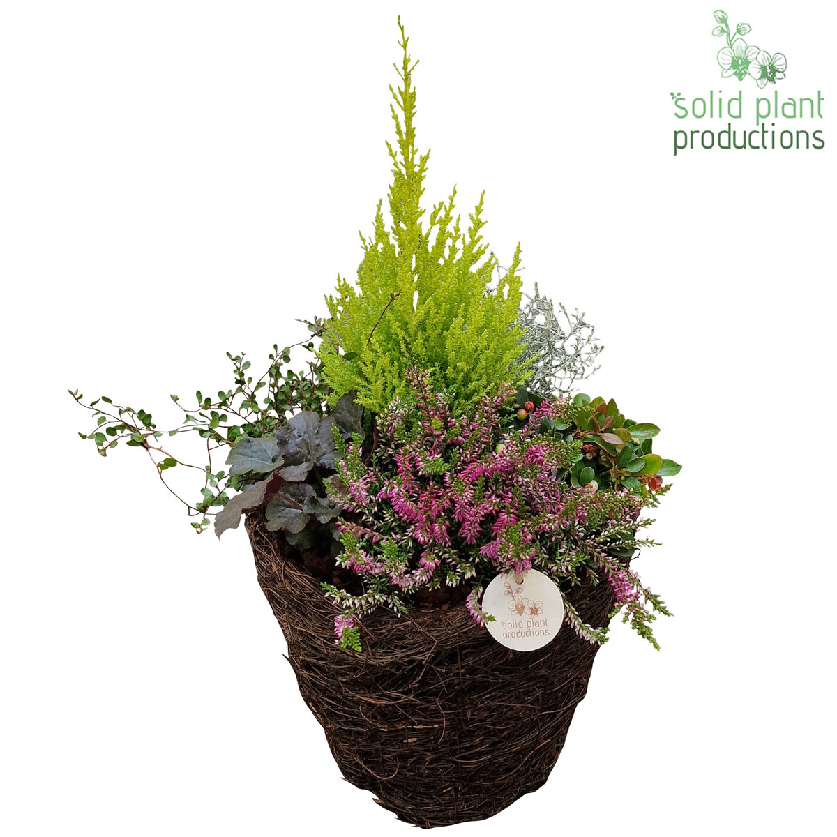 Outdoor arrangement 60cm 29cm Pot