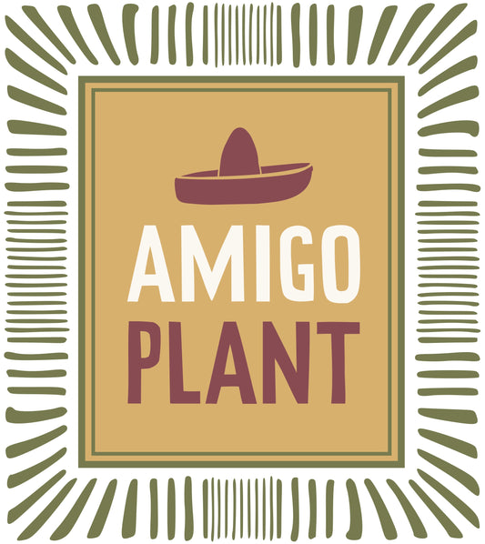 Amigo Plant VOF Miranda coloured white + silver Natureglit® Pack of 16