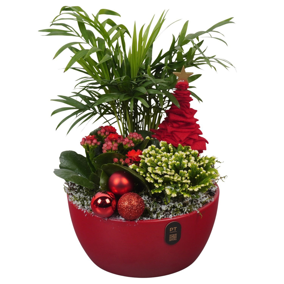 Christmas arrangement 31cm 18cm Pot