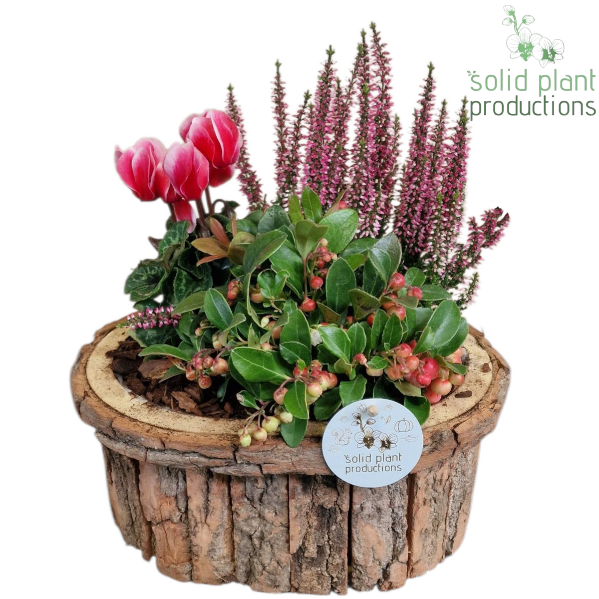 Outdoor arrangement 38cm 26cm Pot