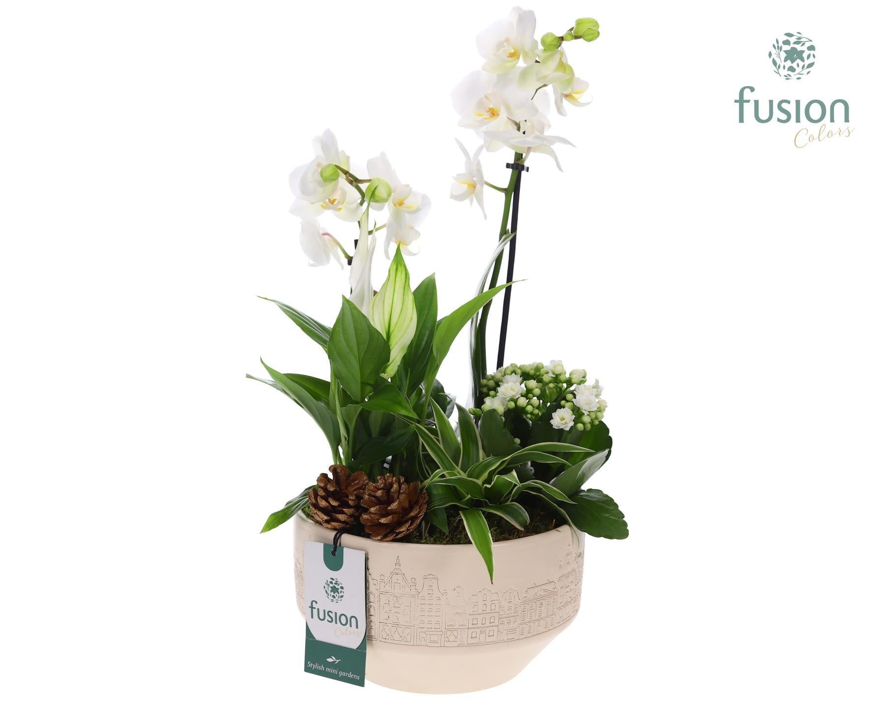 Keramiek schaal Medium met arrangement 43cm 18cm Pot