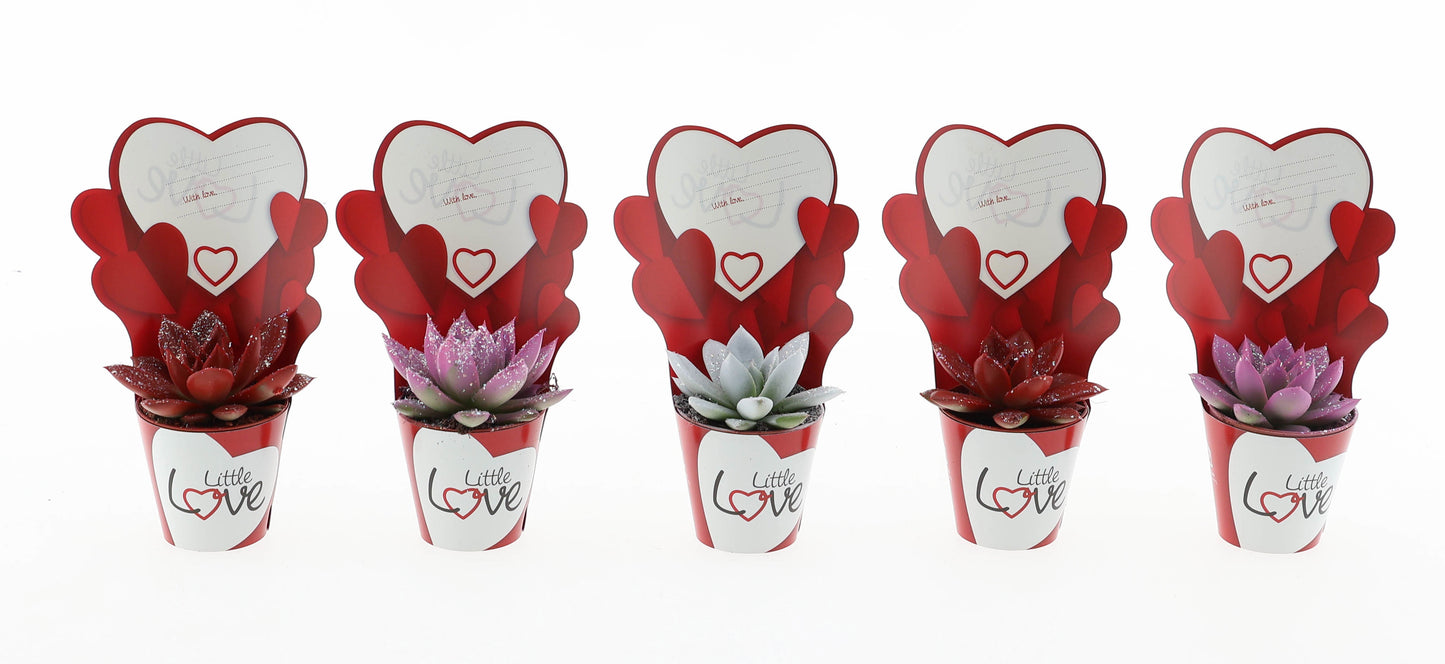 Potcover little love Miranda rainbow + glitter 8cm 505cm Pot
