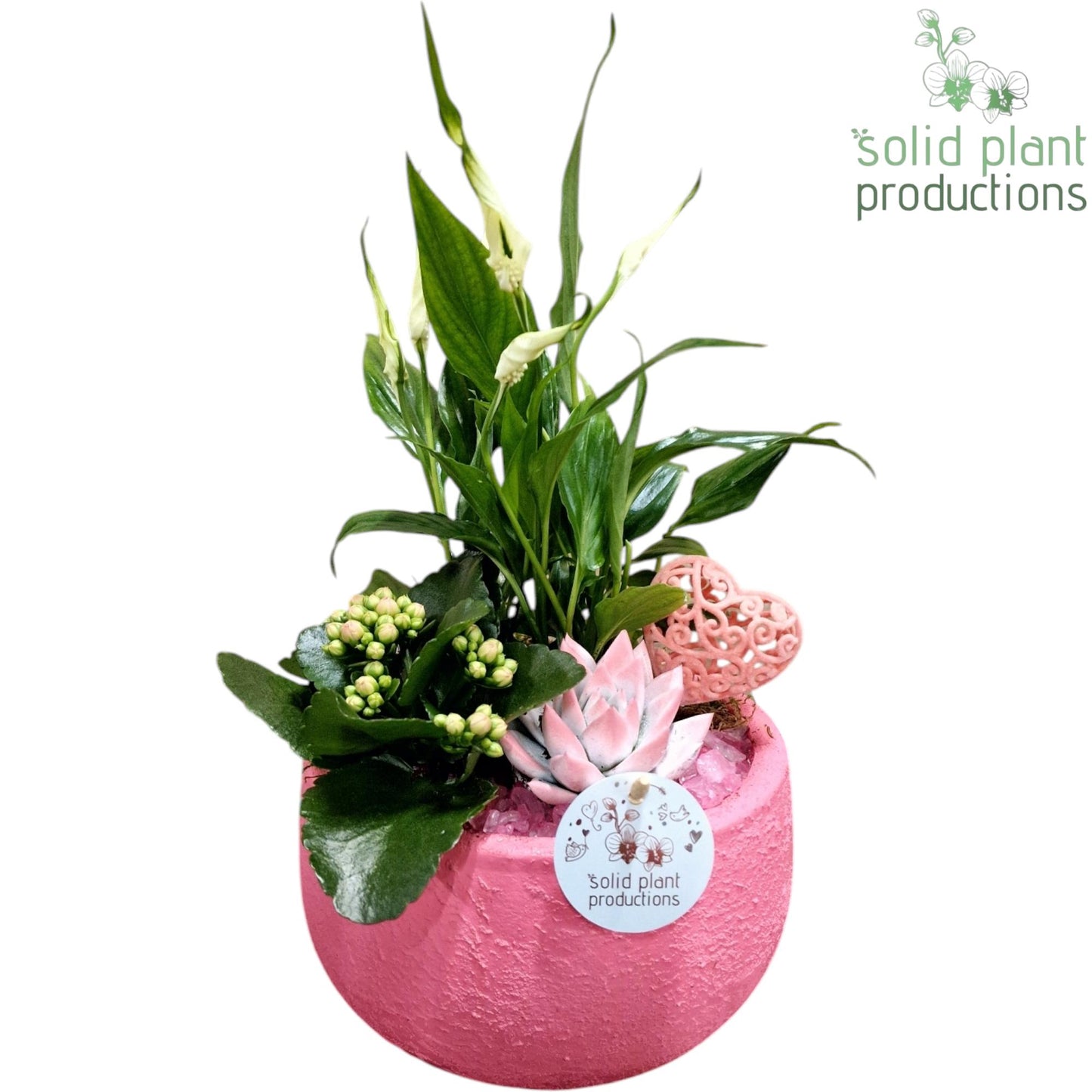 SE033 Esra Pink Small Love 40cm 21cm Pot