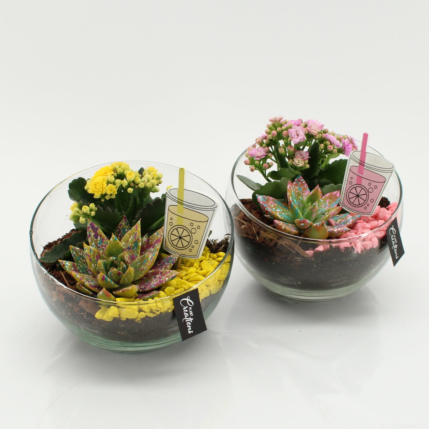 SECR-2625 Summer Essentials Colors 20cm 18cm Pot