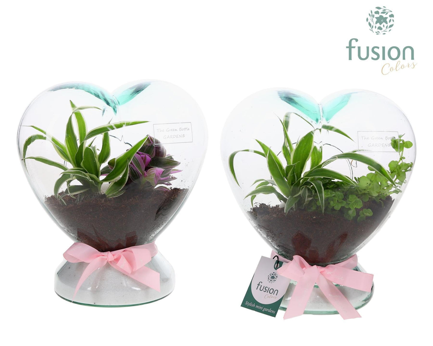Green Bottle Glazen Hart helder met Groen panten 25cm 20cm Pot
