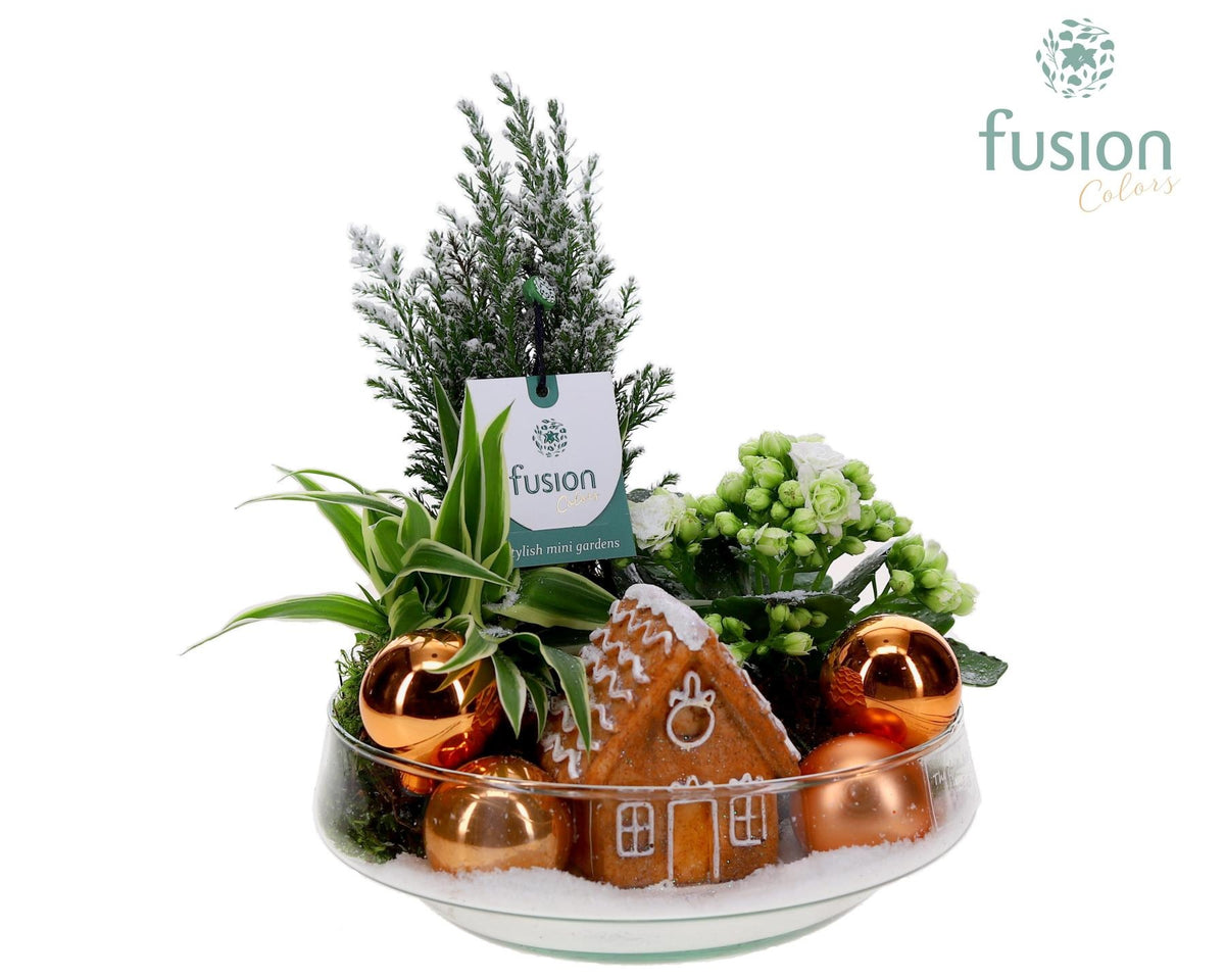 Green Bottle Iris Medium Kerst met arrangement 25cm 19cm Pot
