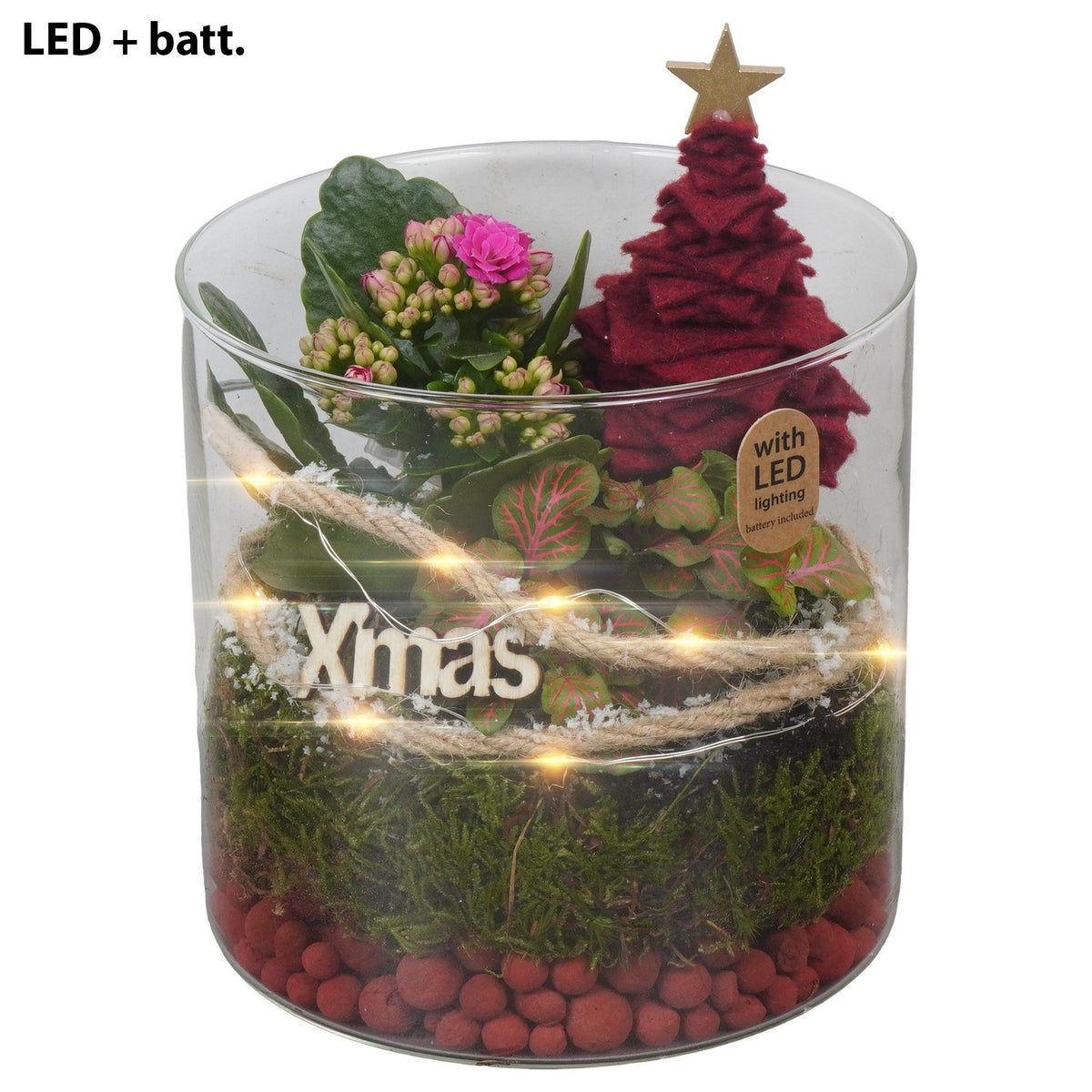 Christmas arrangement 20cm 15cm Pot