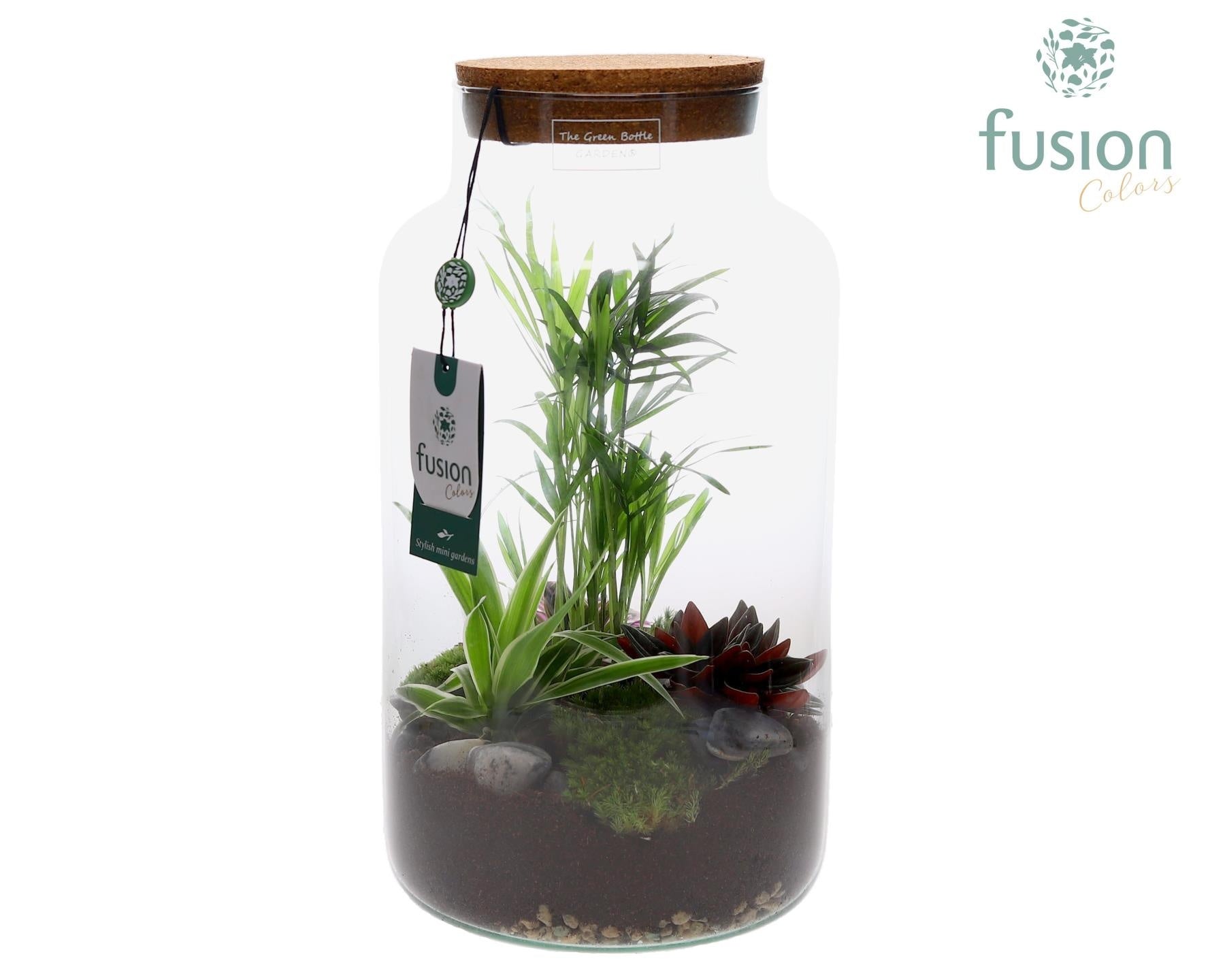 Green Bottle Pot Large met groene planten 35cm 19cm Pot