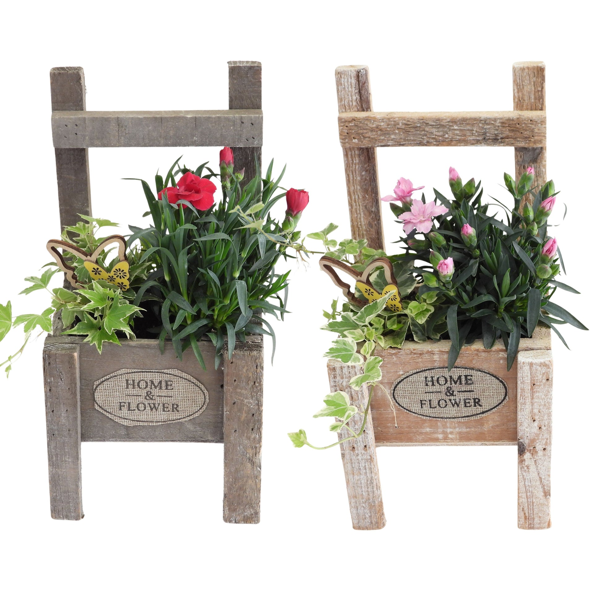 Outdoor arrangement 22cm 14cm Pot
