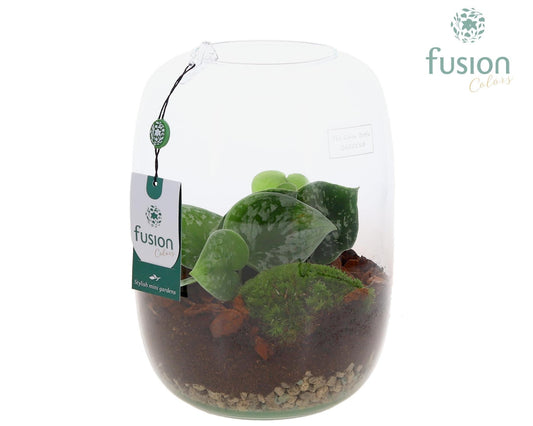 Green Bottle Isabella Large met Scindapsus 25cm 19cm Pot