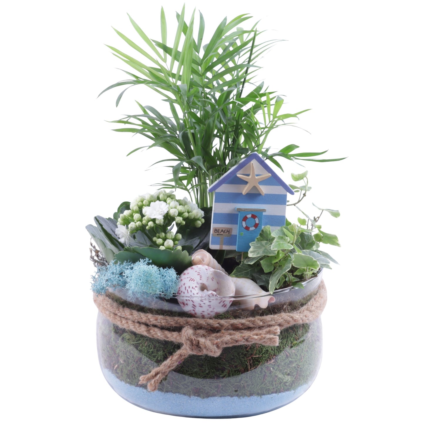 Indoor arrangement 30cm 20cm Pot
