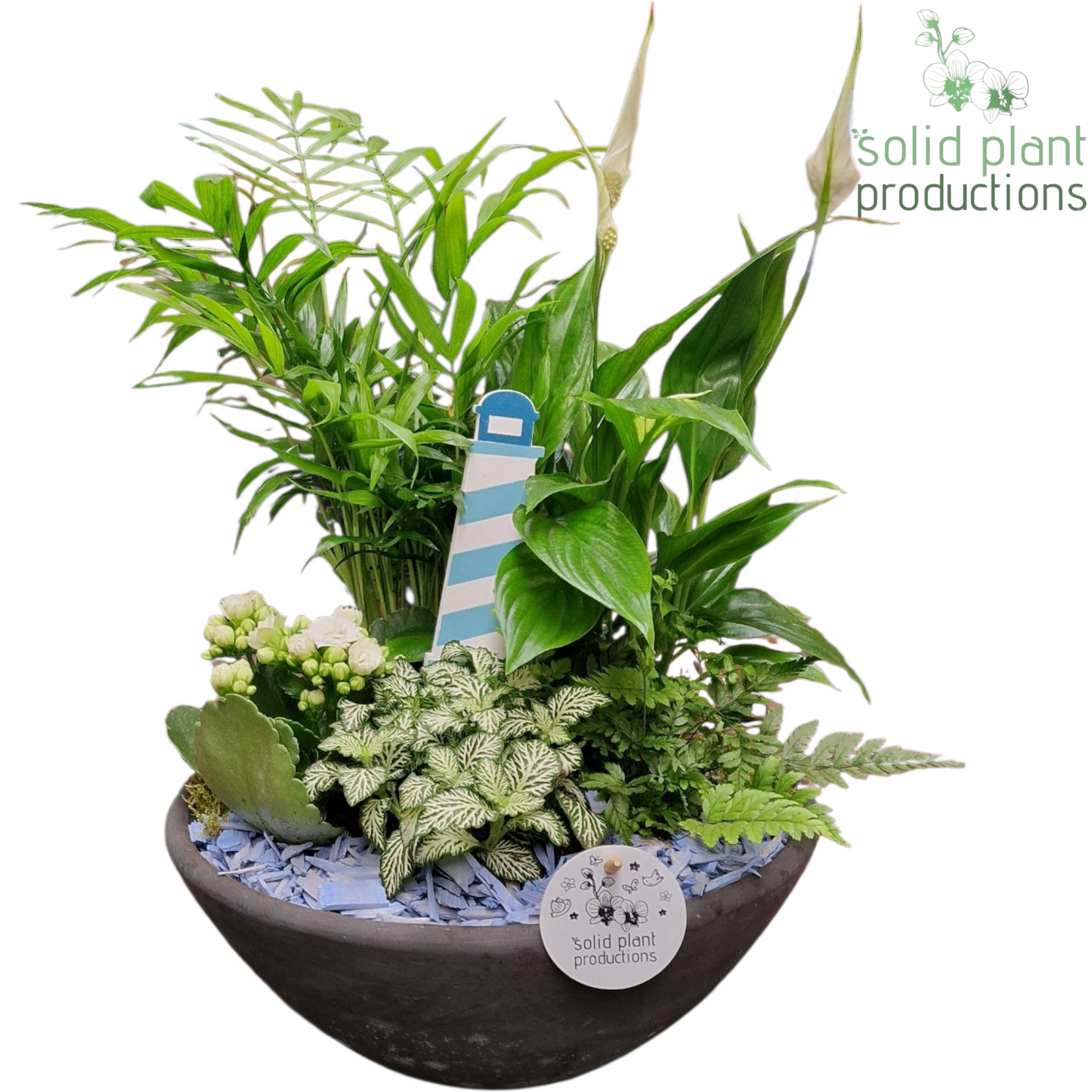 Solid Plant Productions SC011 Ebbi Medium Blue Maritiem Pack of 2