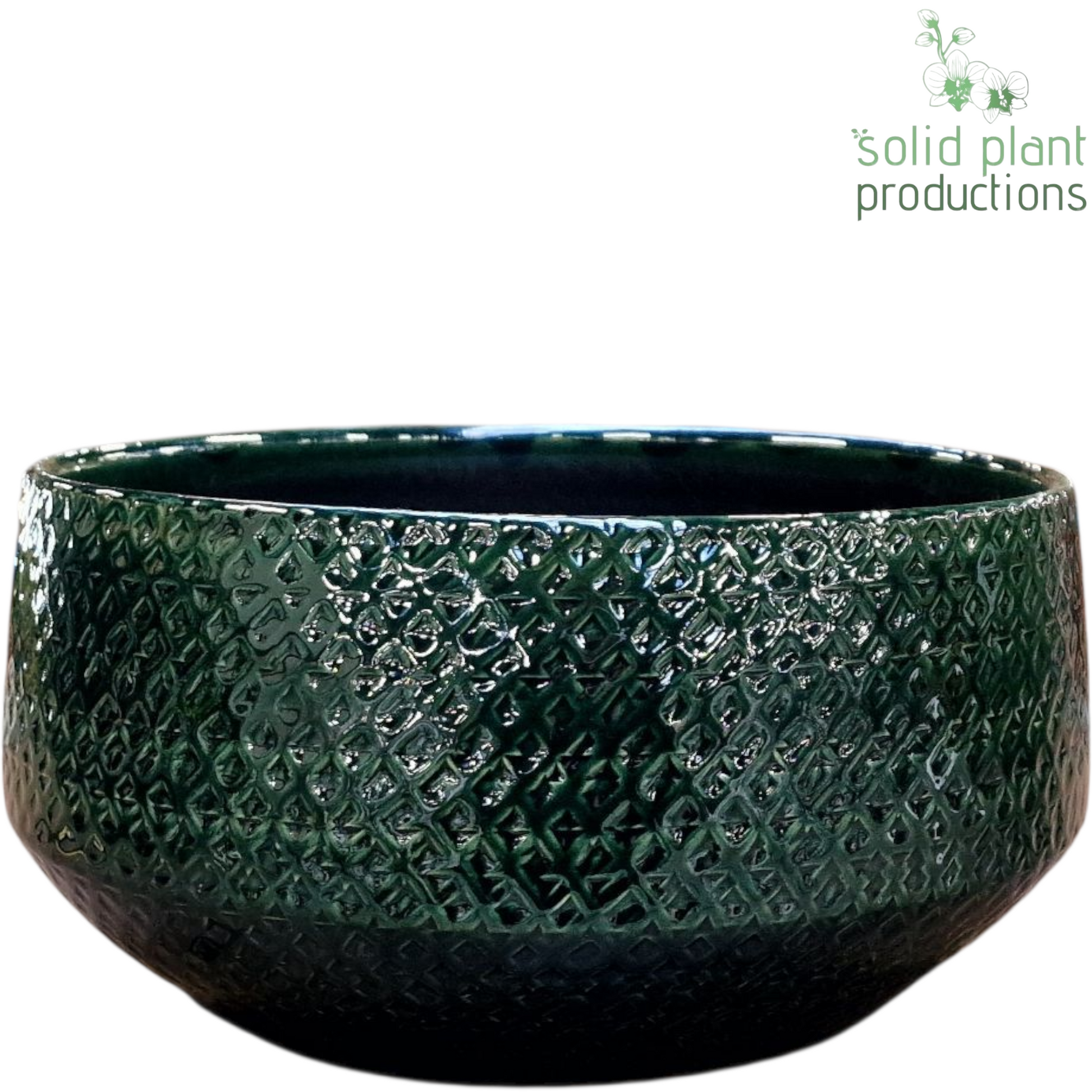 Solid Plant Productions C130 Aurora Green Pack of 4