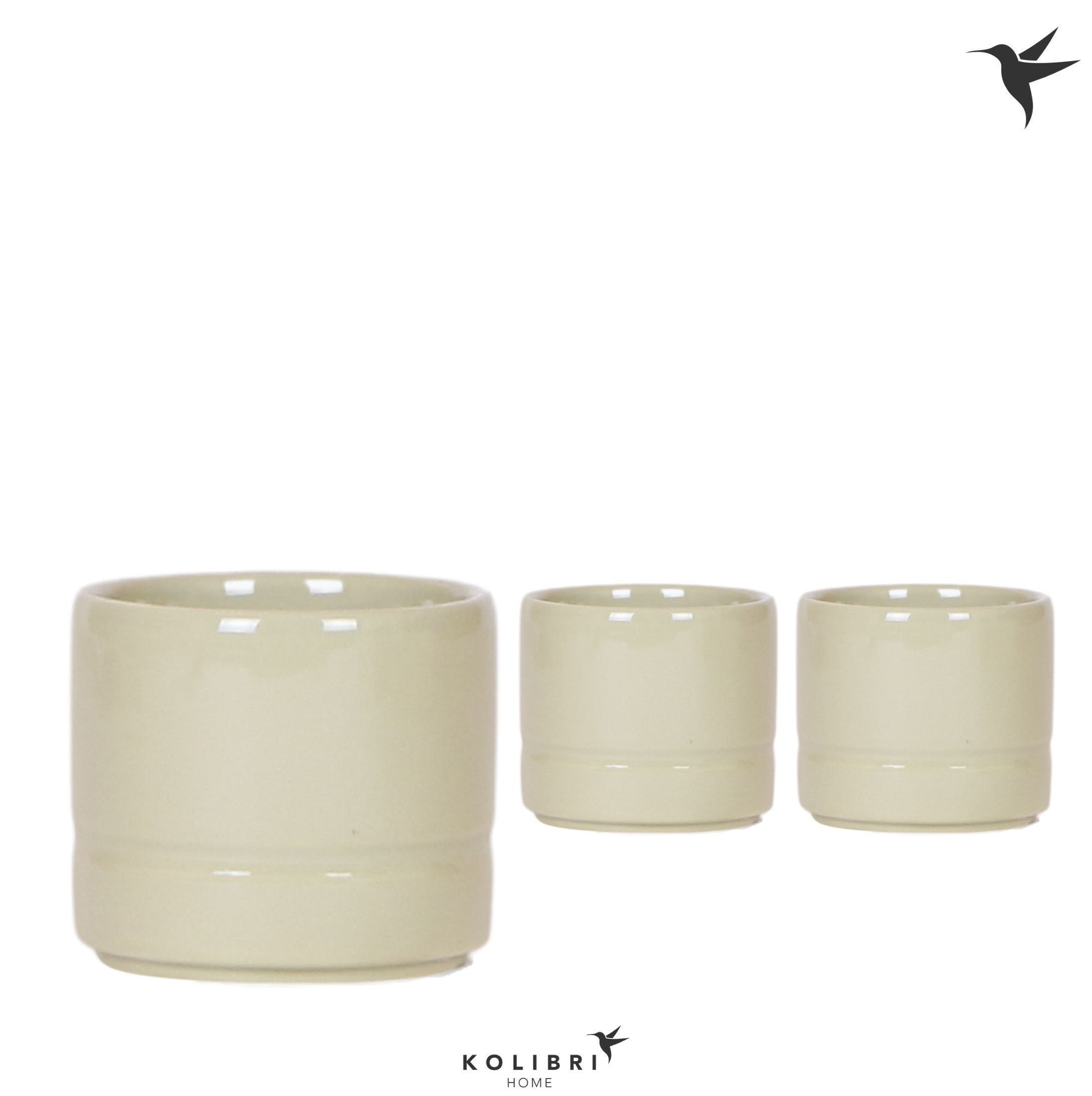OK Plant Kolibri Home Pastel pot green Pack of 12