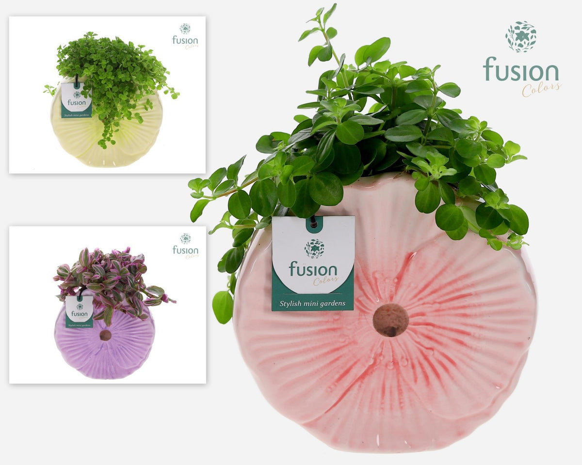 Keramiek Bloem Medium pot met groen planten mix 29cm 18cm Pot