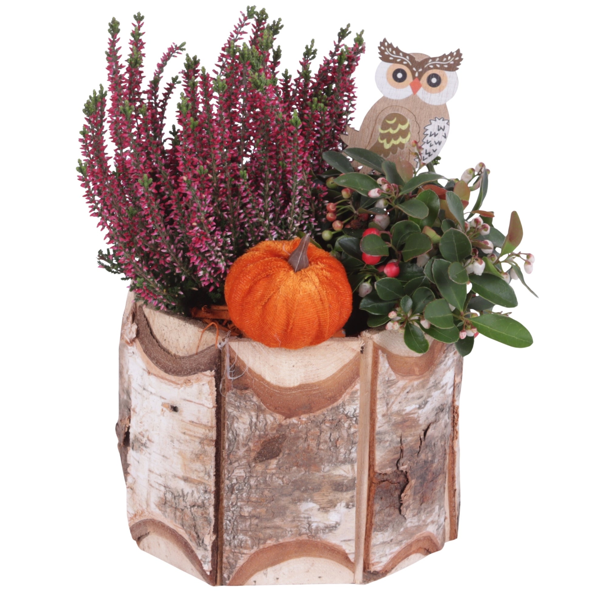 Outdoor arrangement 30cm 17cm Pot