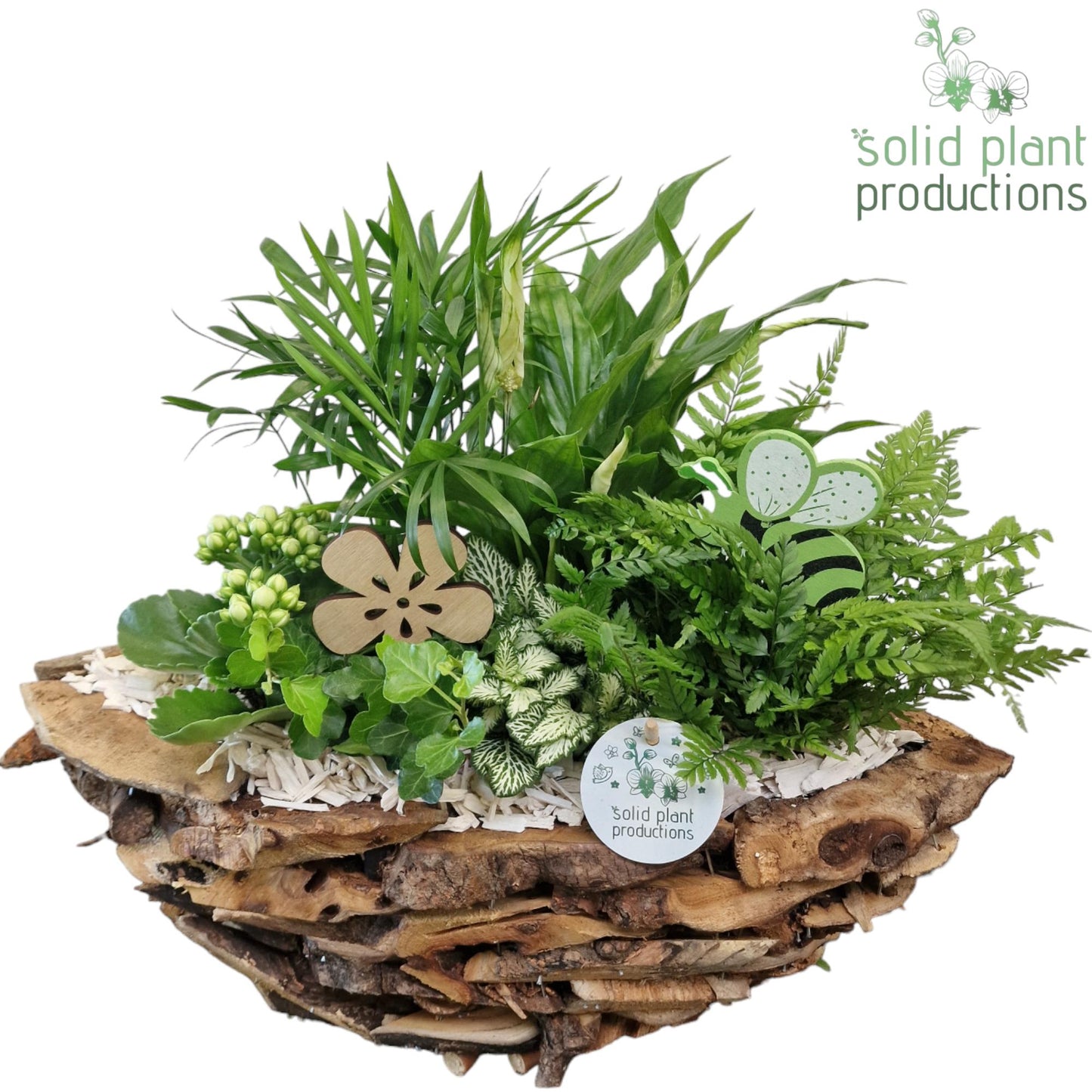 SC012 Driftwood Boat White 45cm 43cm Pot