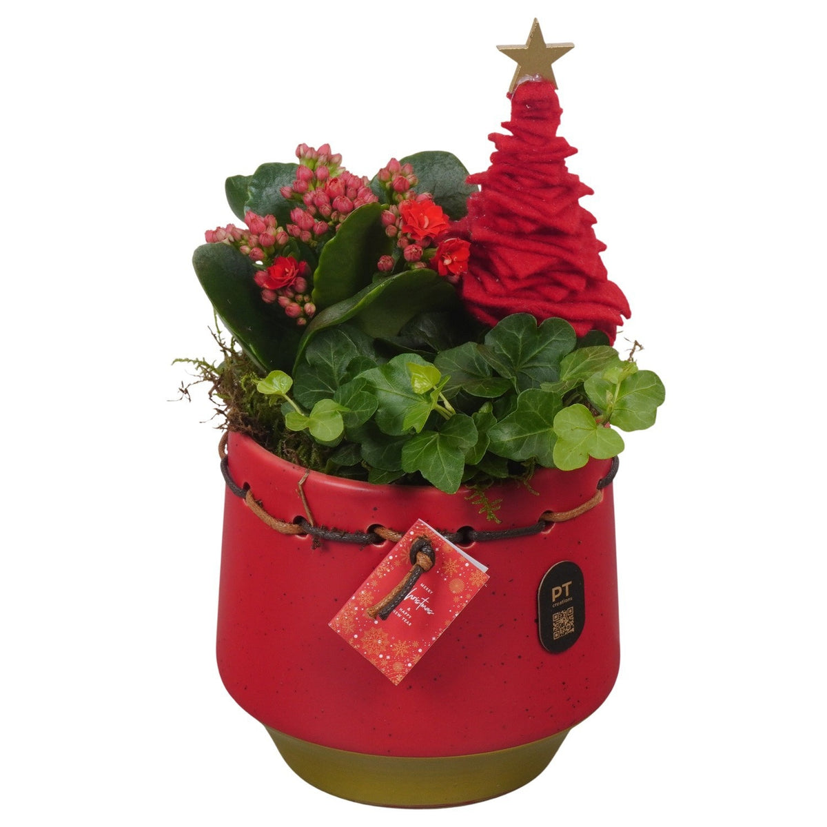 Christmas arrangement 22cm 13cm Pot