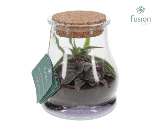 Glas Druppel met Terrarium Arrangement 2pp 20cm 16cm Pot