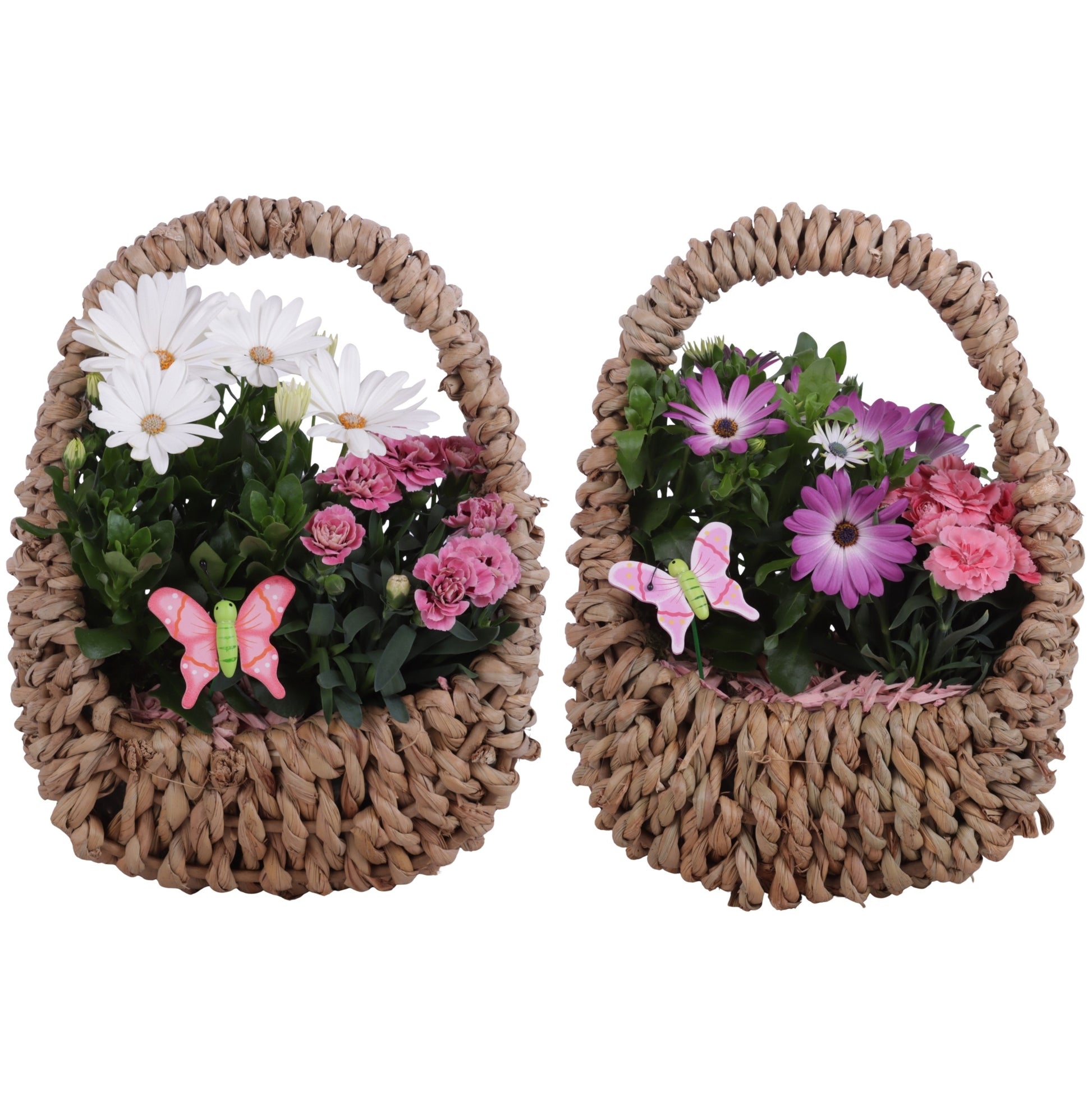 Outdoor arrangement 30cm 23cm Pot