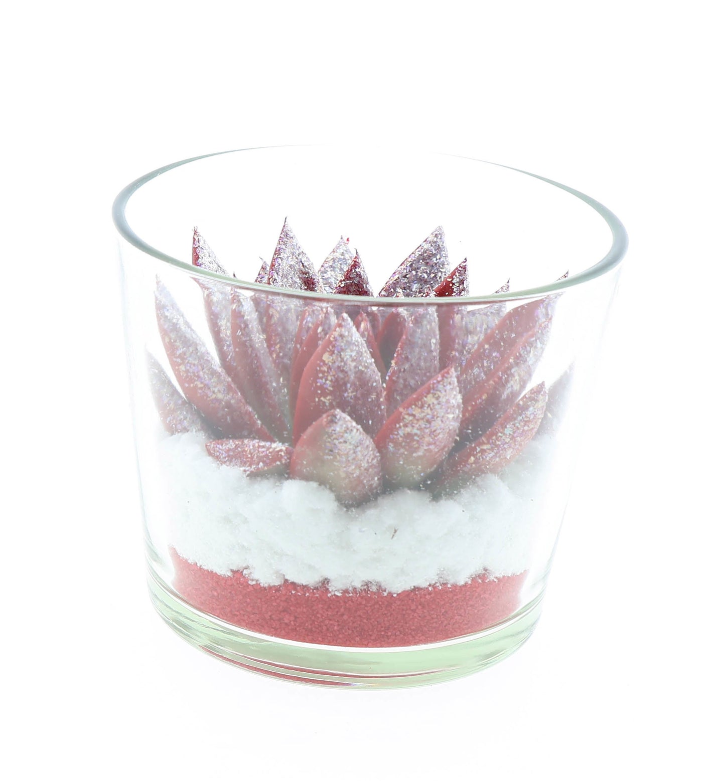 Euro Cactus Holland Bv Miranda rood + glitter in glas Pack of 6