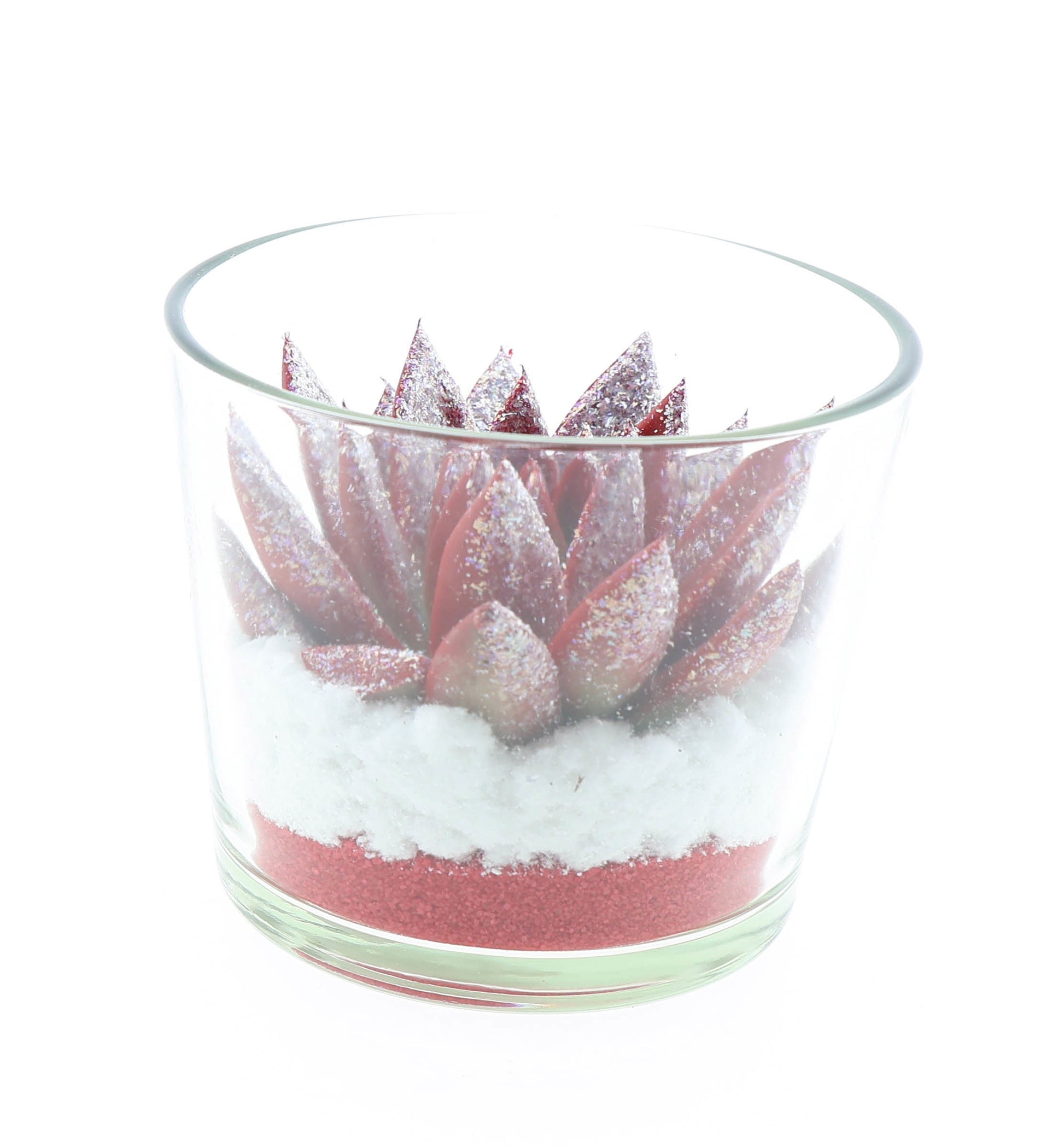 Euro Cactus Holland Bv Miranda rood + glitter in glas Pack of 6