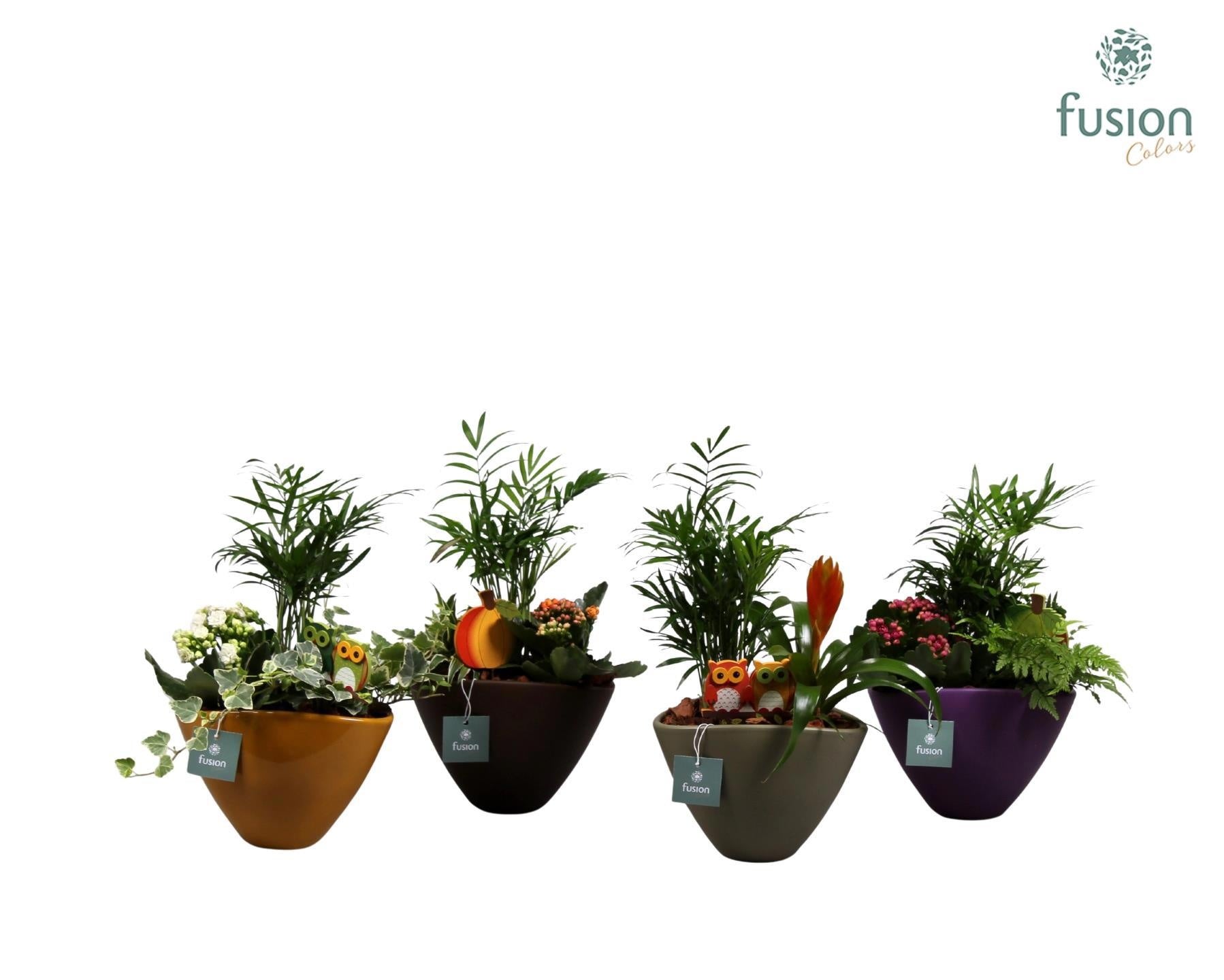 Fusioncolors BV keramiek bootpot ovaal 4 kleuren met Arrangement en najaarsbijstekers Pack of 4