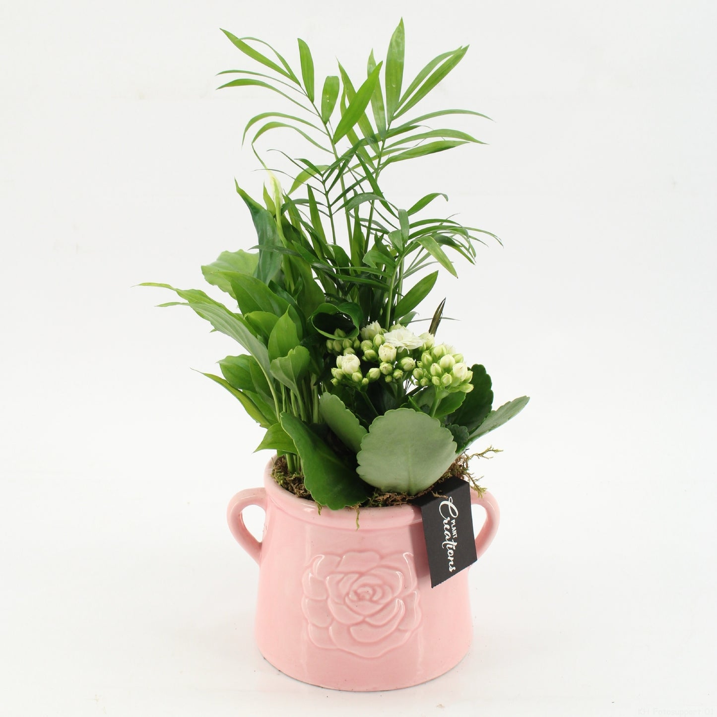 Indoor Flowering arrangement 40cm 16cm Pot