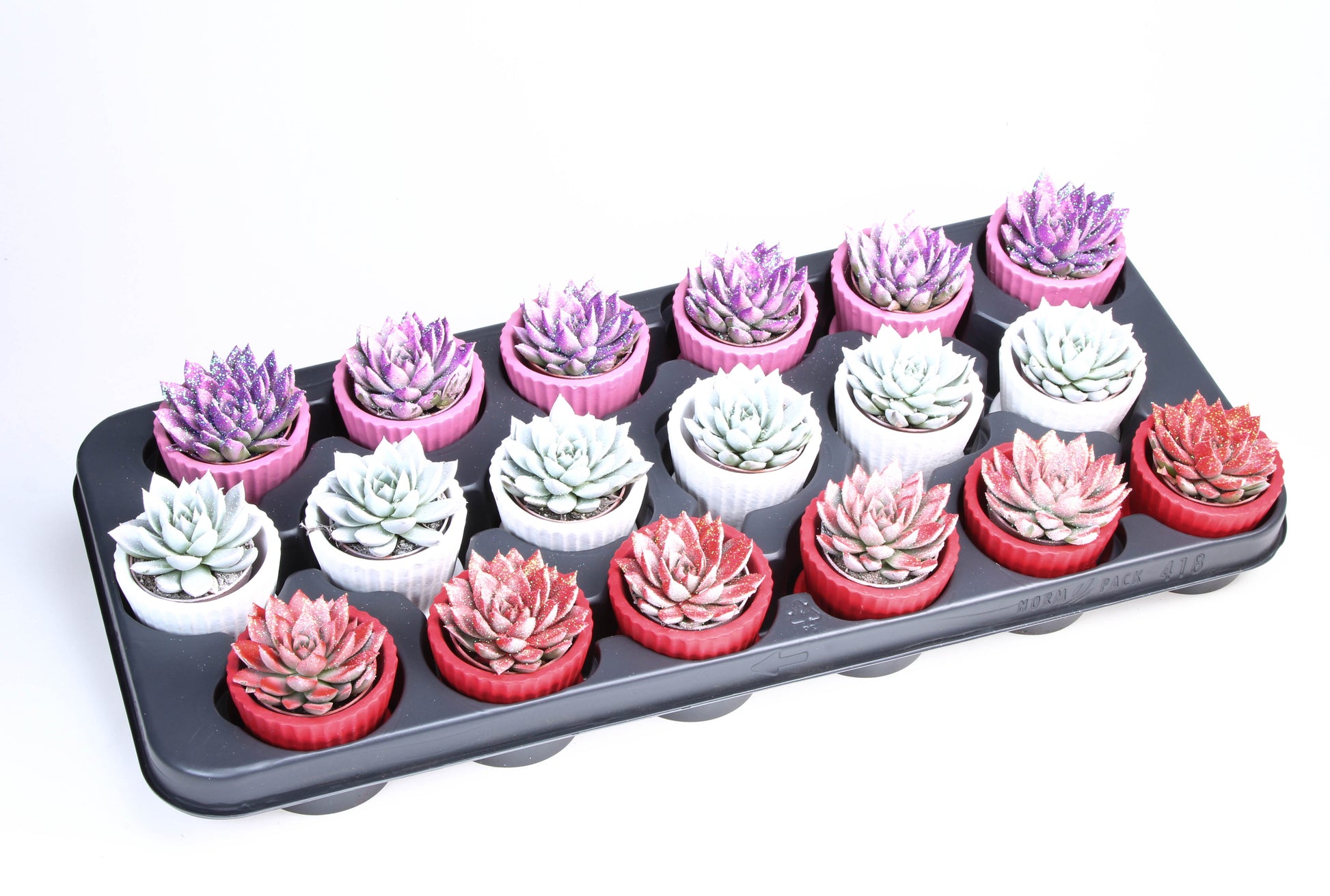 Miranda Valentine glittermix Cupcake pot 10cm 506cm Pot