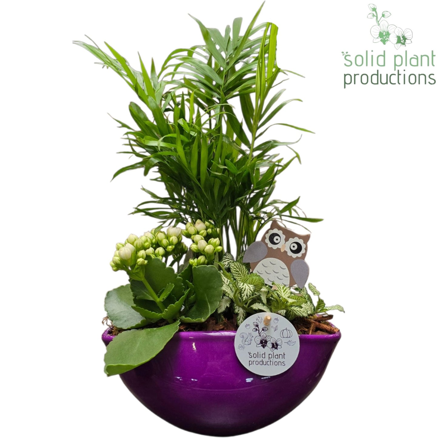 CH005 Evelyn Purple 38cm 22cm Pot