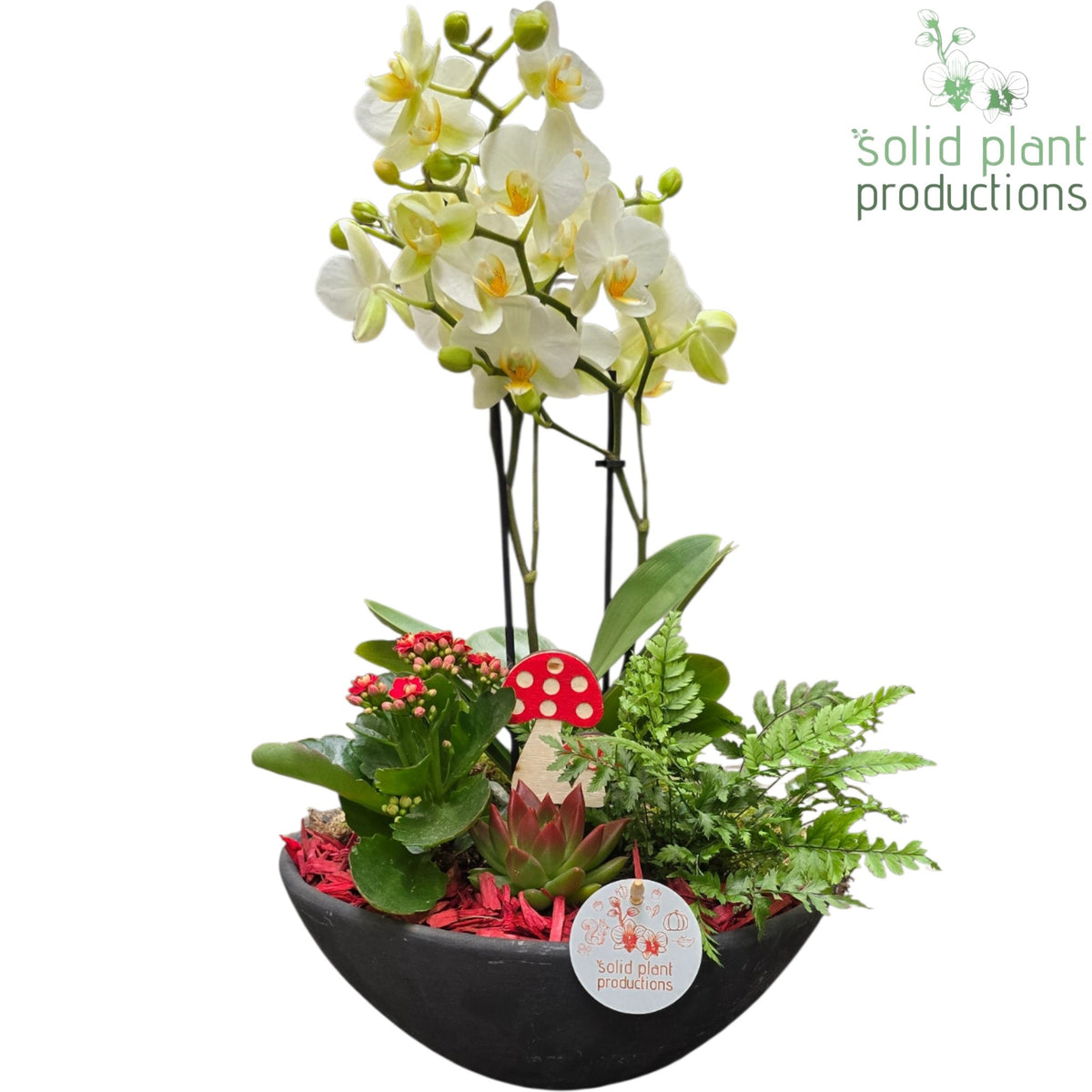 PH011 Ebbi Medium Red Autumn 45cm 27cm Pot