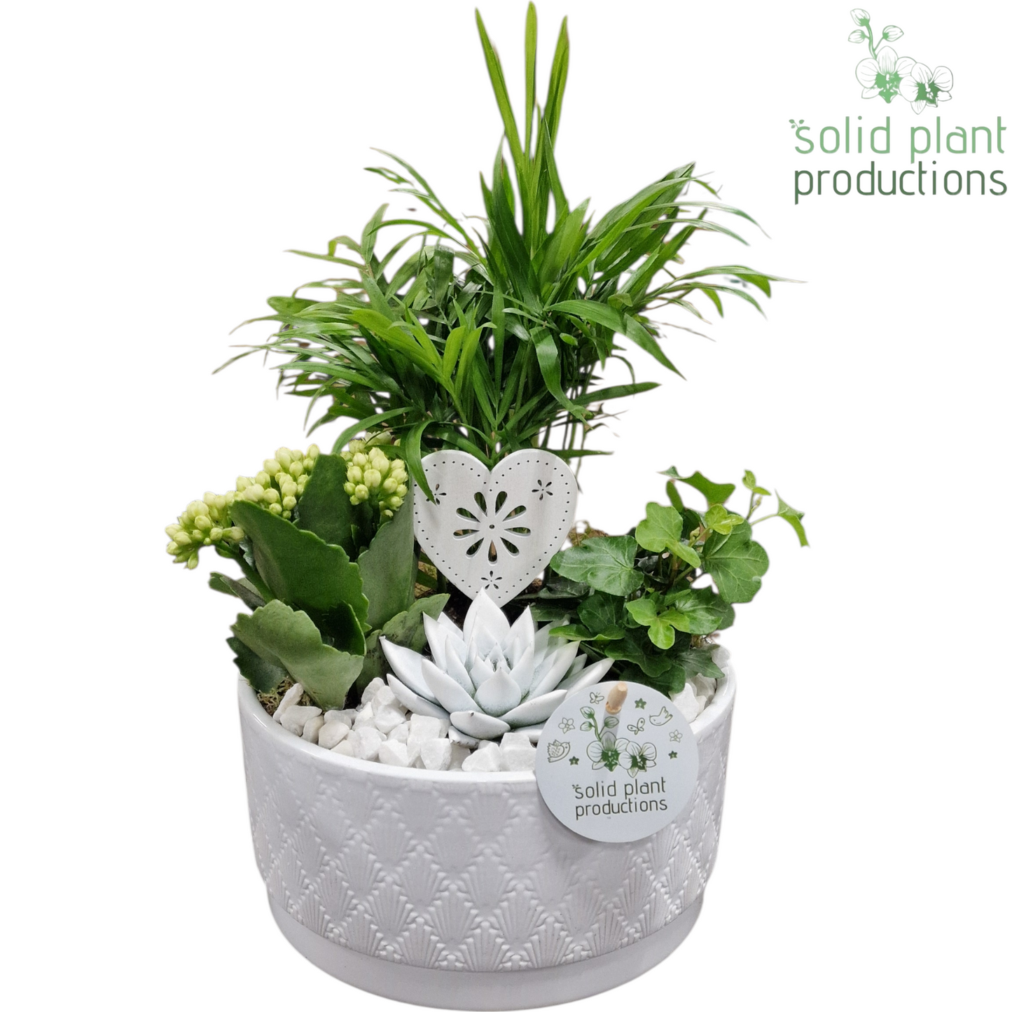 CE003 Loes White VM 35cm 18cm Pot