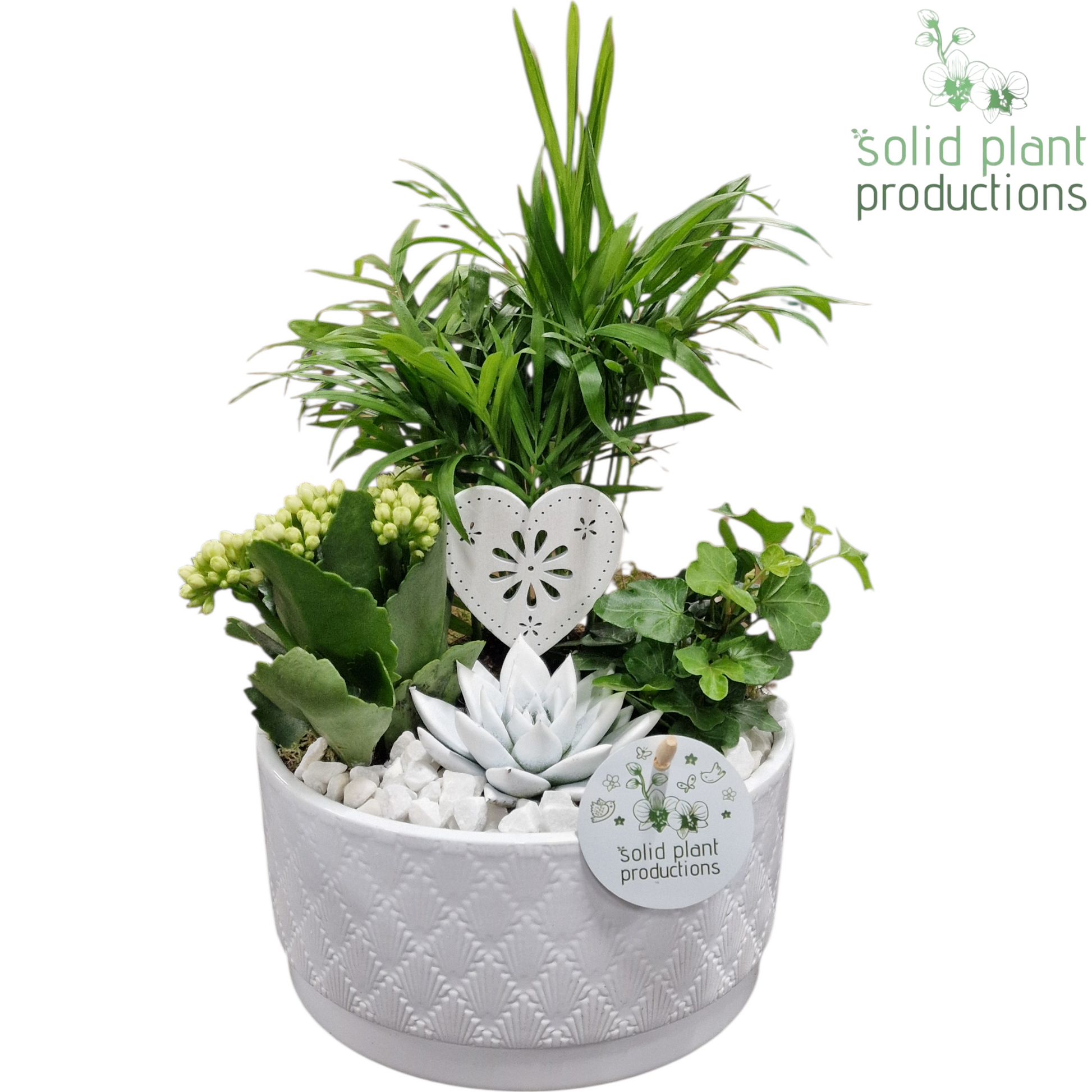 CE003 Loes White VM 35cm 18cm Pot