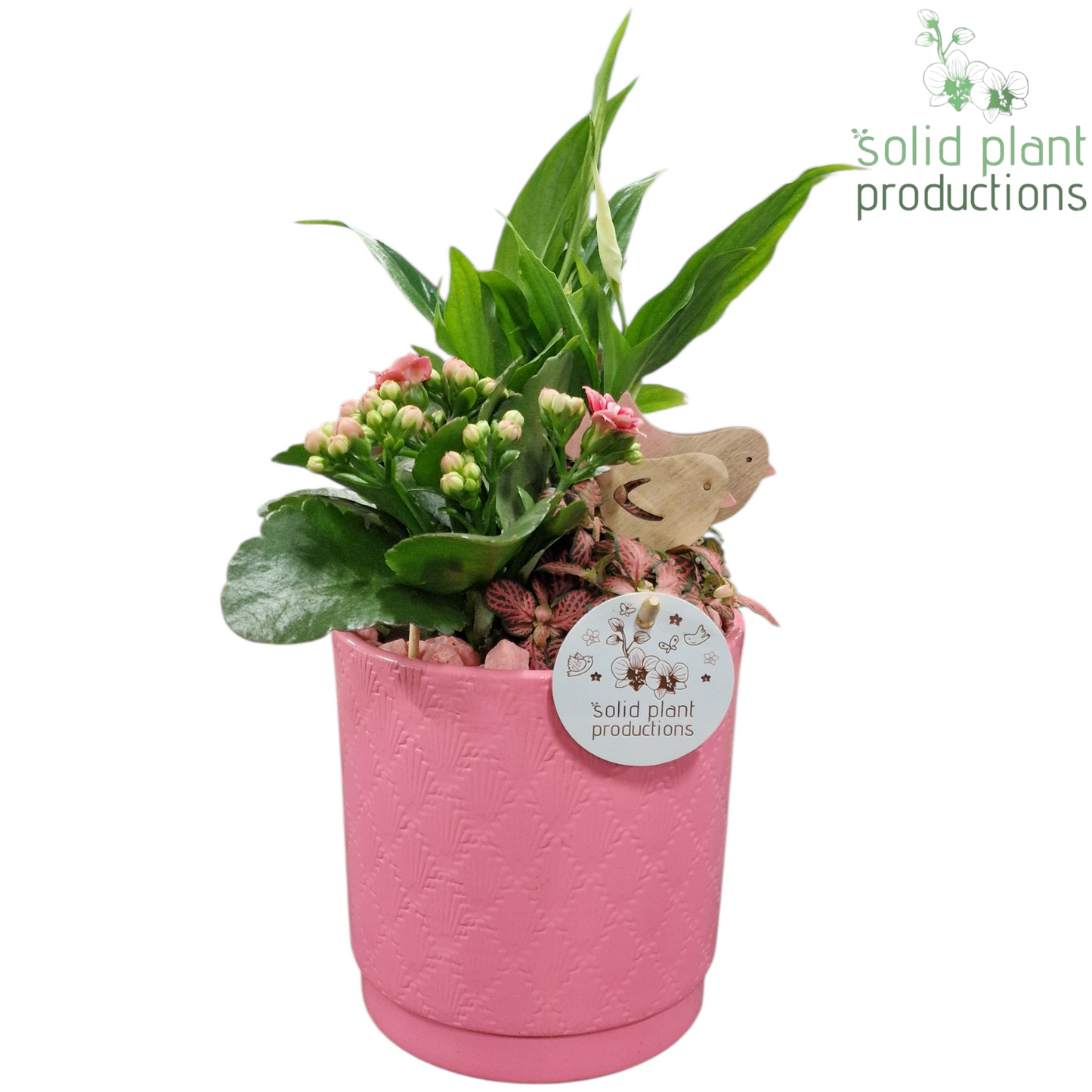 SP001 Amy Pink 35cm 13cm Pot