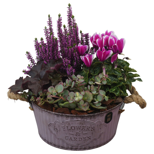 Outdoor arrangement 28cm 22cm Pot