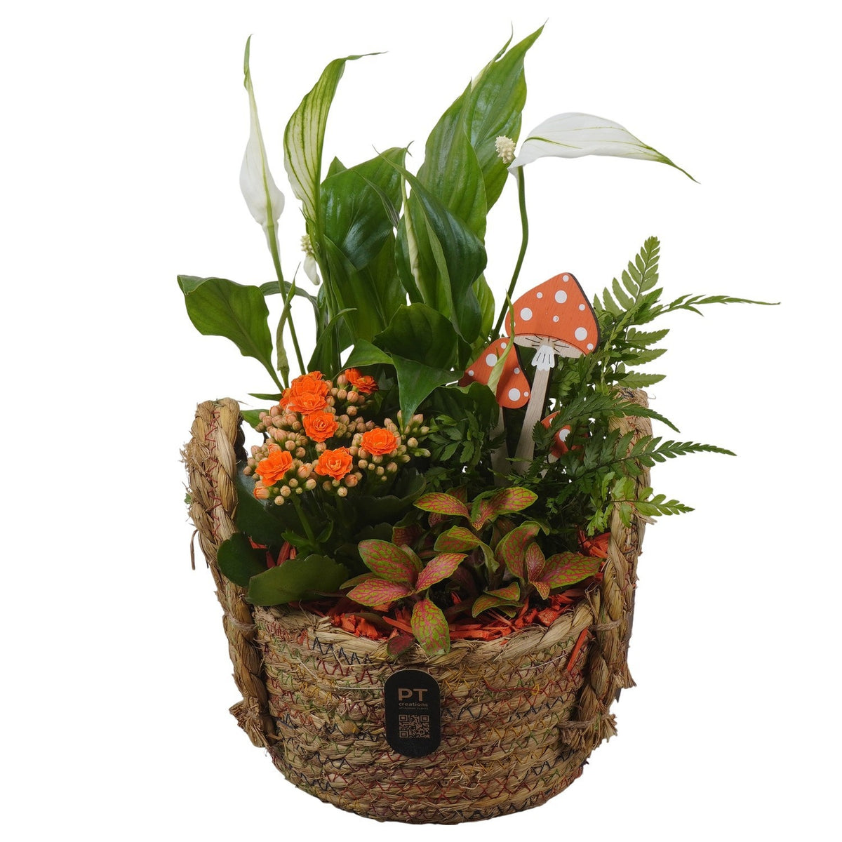 Indoor arrangement 33cm 19cm Pot