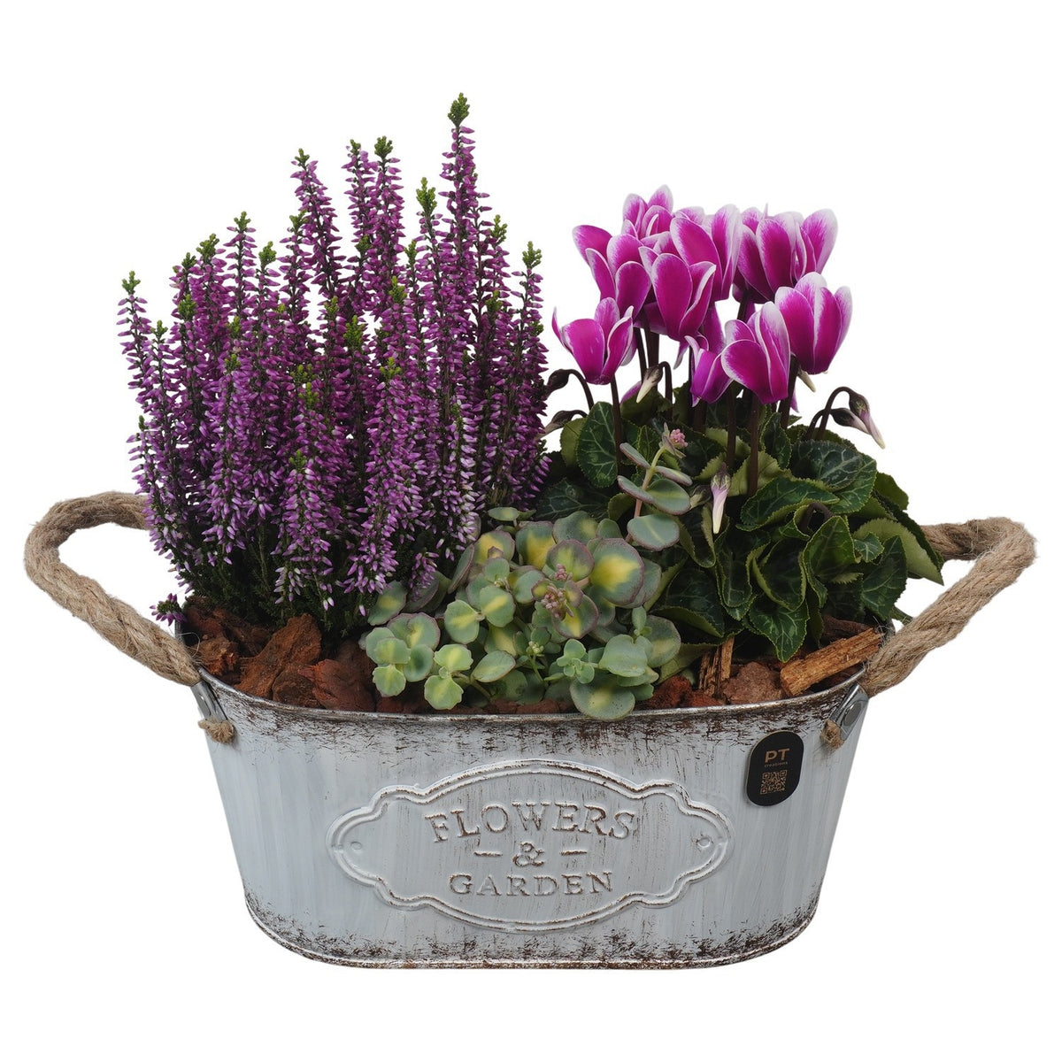 Outdoor arrangement 29cm 24cm Pot