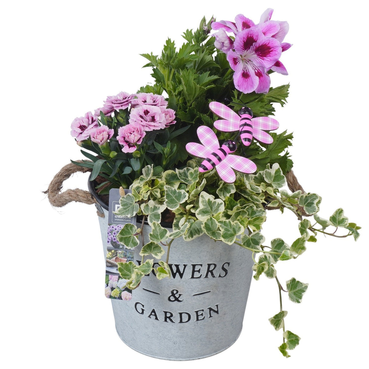 Outdoor arrangement 37cm 20cm Pot