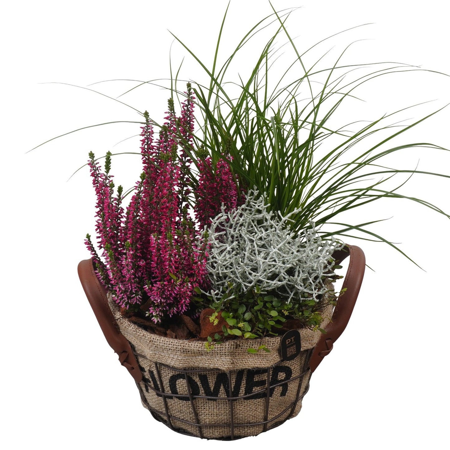 Outdoor arrangement 34cm 20cm Pot