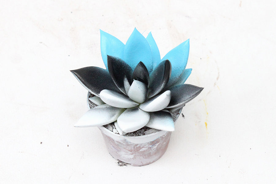 Miranda coloured flag Estonia 11cm Special Pot (508)