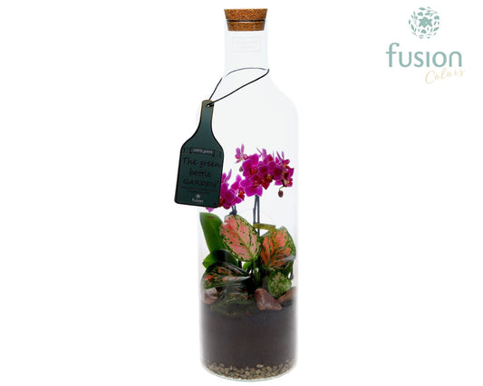 Green Bottle Fles Large met Phalaenopsis arrangement 2pp 55cm 15cm Pot
