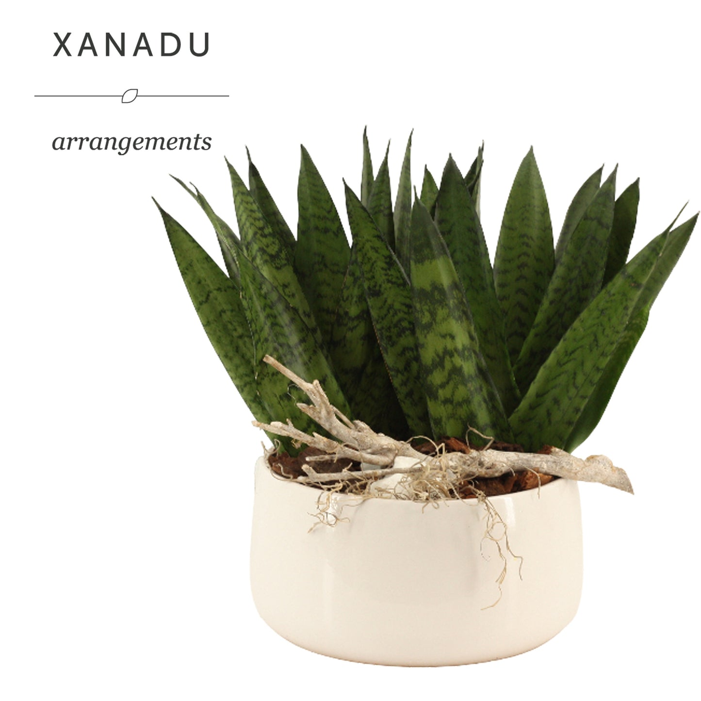 Xanadu Ottawa 40cm 24cm Pot