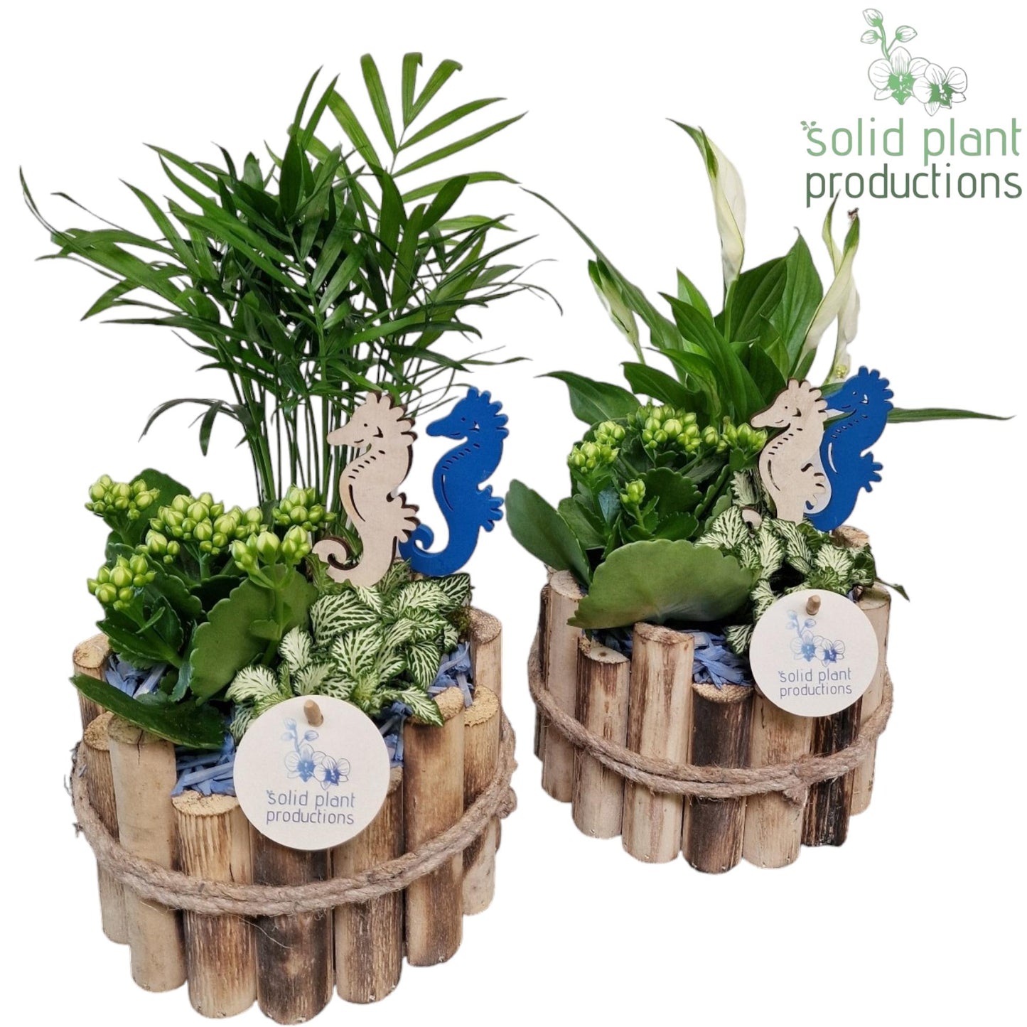 HSC001 Milano Small Maritiem 35cm 17cm Pot