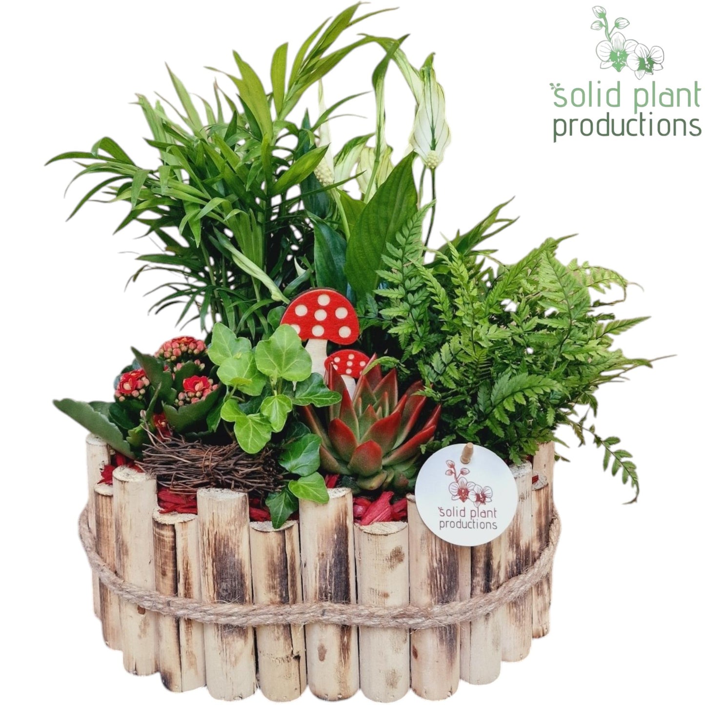 HSCE007 Bologna Large Autumn Red 38cm 30cm Pot