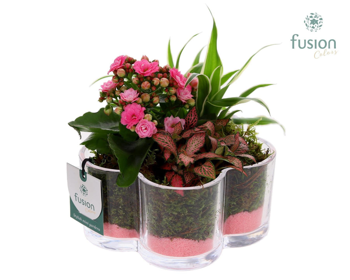 Glas Bloemschaalmet Arrangement 3pp 15cm 18cm Pot