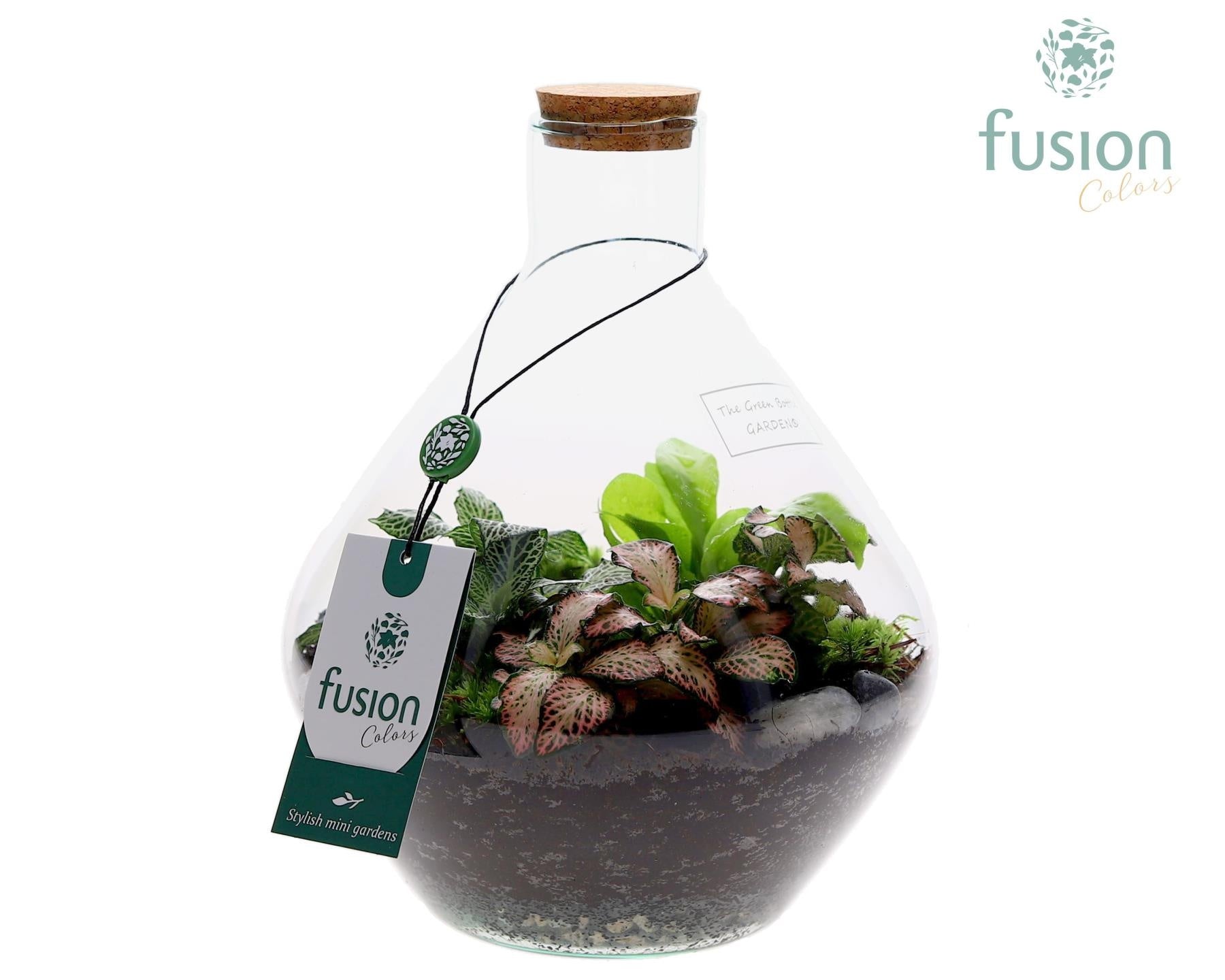 Terrarium John Small met arrangement 25cm 19cm Pot