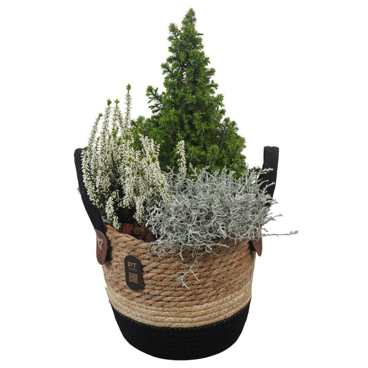 Outdoor arrangement 46cm 21cm Pot